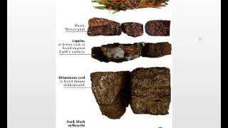 How Fossil Fuels Are Formed [upl. by Eikcaj195]