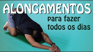 6 ALONGAMENTOS SIMPLES p fazer diariamente  Mais flexibilidade e menos intolerância ao estiramento [upl. by Esmaria]