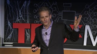 NeuroscienceAI can unlock hidden visual interface for the emotional brain  James DiCarlo  TEDxMIT [upl. by Trimmer655]