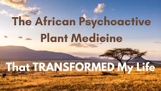 The African Psychoactive Plant Medicine That Transformed My Life Ibogaine [upl. by Allister808]