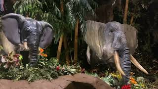 Rainforest Cafe Elephants Ikspiari Tokyo Disney Resort [upl. by Amisoc]