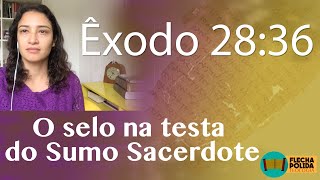 UM SELO NA TESTA DO SUMO SACERDOTE  ÊXODO 2836 [upl. by Nileve835]