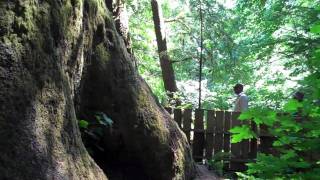 The Official Sooke British Columbia Tourism Video [upl. by Luelle446]