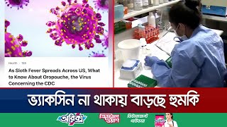 মহামারি হয়ে উঠছে স্লথ ভাইরাস কীভাবে ছড়ায়  Mysterious Sloth Virus  Jamuna TV [upl. by Kcirdneked]