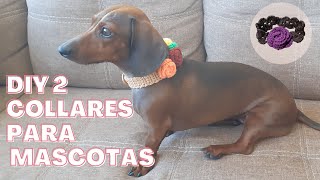 DIY 2 COLLARES CON FLORES PARA PERRITOS O GATITOS Crochet tejido ganchillo para mascotas [upl. by Sacks795]