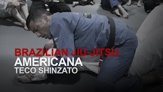 BJJ How To Do An Americana  Evolve MMA [upl. by Rhiana]