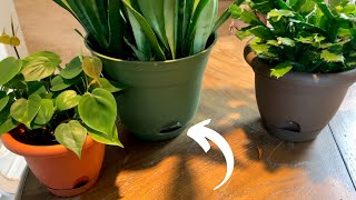 Self Watering Pots Explained  Easy Plant Care [upl. by Yalhsa]