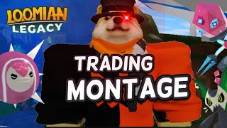 The RETURNING Loomian Legacy Trading Montage [upl. by Alyssa]