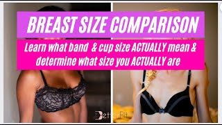 Bra Size Measurement amp Cup Size  A B C D DD Bra Sizes AND Extra Large Breasts [upl. by Suckram]