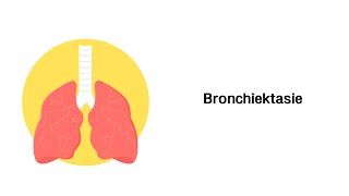 Bronchiektasen  Erkrankungen der Atemwege [upl. by Oribelle]