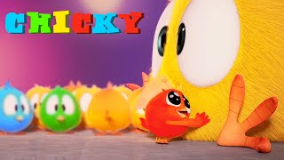 CHICKYS FAMILY 🌈 Wheres Chicky  THE COLORS  Chicky Cartoon in English for Kids [upl. by Akiehsat23]