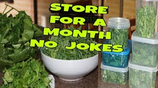 How to store leafy vegetables in the fridge  KEEP ALL LEAFY VEGETABLES  FRESH [upl. by Christabelle]