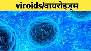 viroids in hindi viroids disease structure of viroidsviroids potato disease [upl. by Farl726]