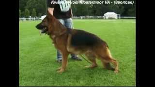 Kwantum vom Klostermoormp4 [upl. by Doss]