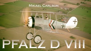 Mikael Carlson Pfalz D VIII Long filmversion Jesper Rådegård Aviation Video [upl. by Athiste]