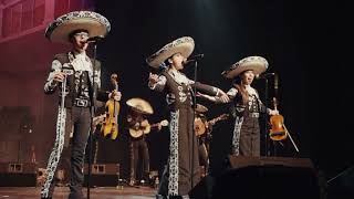 Mariachi Grulla de Plata  Grulla High School [upl. by Nannarb]