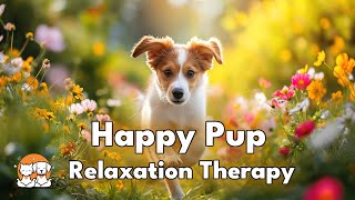 Relaxing Music amp Real Nature Sounds for Dogs  Happy Animal Moments for Calm and Joy [upl. by Agostino]