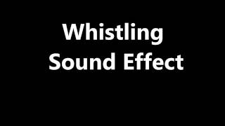 Whistling Sound Effect [upl. by Ecitsuj996]