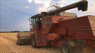 MF 860 Harvest Part 3 With Sound [upl. by Annairba]