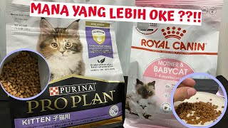 Proplan Kitten VS Royal Canin Mother amp BabyCat [upl. by Amaerd901]