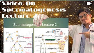 Spermatogenesis Lecture  Stages of Spermatogenesis [upl. by Ferdie237]