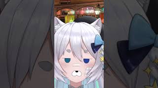 โมอาเลี้ยงสัตว์อะไรบ้าง HoshisakiLyn pets vtuberthailand cute funny vtuber qanda cat [upl. by Lonnard]