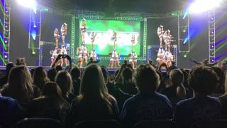 STINGRAY ALL STARS ORANGE THE MAJORS 2017 [upl. by Araf]