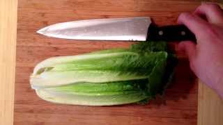 How to prep romaine lettuce for salads [upl. by Ahsiat476]