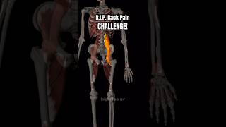 RIP Back pain challenge hip flexor VS multifidus [upl. by Anisah782]