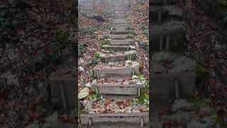 🇨🇭1000erStägli nahe OltenAarburg im Nebel mystische Herbststimmung 1150 Stufen auf den Born [upl. by Lorac473]