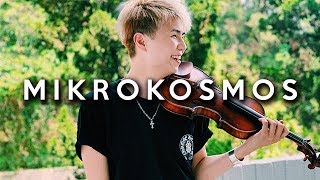 BTS  Mikrokosmos VIOLIN COVER [upl. by Llewej]