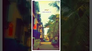 Pimpri Chinchwad pune 💗🌴📍viralvideo pune punekar maharashtra india live motivation love [upl. by Ahsitra]