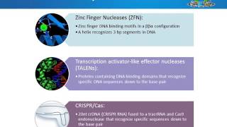 CRISPR edited mammalian cell linesadvantages applications and tips [upl. by Arly923]