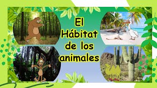 El hábitat de los animales Para niños [upl. by Hope]