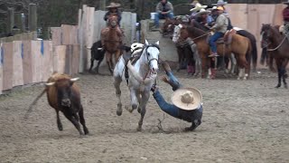 coleadero en el lienzo charro el zacatecano 03202021 [upl. by Hardigg951]