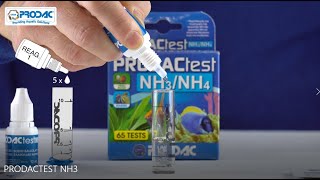 PRODACTEST NH34 how to use the test kit [upl. by Nylazor]