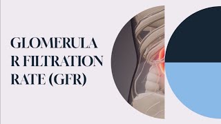 Understanding Glomerular Filtration Rate Renal Function Test [upl. by Ellecrag320]