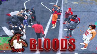 BLOODS VS 410TH amp BALLAS [upl. by Eidson955]