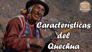 ✍ Características del Idioma Quechua  Aprendiendo Quechua [upl. by Matthaeus952]