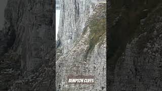 Bempton Cliffs East Yorkshire [upl. by Ambler]