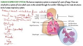 CBSE CLASS 10  CLASS 10 SCIENCE  CLASS 10 EXCRETION IN HUMAN BEINGS  DIALYSIS  LIFE PROCESS  07 [upl. by Yvor]