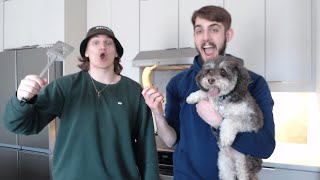 COOKING STREAM with Jaydendog [upl. by Noived406]