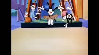 Animaniacs english intro pal [upl. by Denby823]