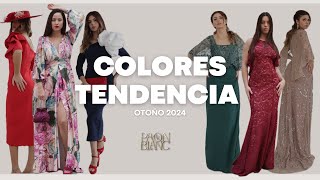 Colores Tendencia Otoño 2024 [upl. by Monroe45]