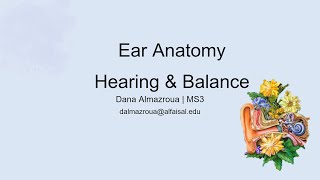 Ear  Hearing amp Balance  Dana Almazroua  HNS 242 PAL review session [upl. by Akerdnuhs]