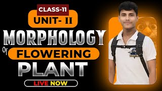 MORPHOLOGY OF FLOWERING PLANTS CLASS 11  NCERT DEEP LINES  COMPLETE NCERT FOR NEET 2025 [upl. by Daniyal]