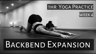 Backbend Expansion Week 44  1hr strong yoga practice [upl. by Weeks47]