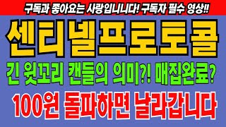 센티넬프로토콜 해킹 보안 코인전망 비트코인 이더리움 도지코인 [upl. by Jobey172]