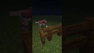 I Built dog house my dog didnt like it 😡  shorts ytshorts minecraft [upl. by Lehplar589]