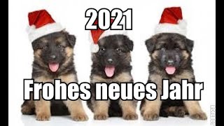 Neujahrsgrüße 2021 lustig Frohes neues Jahr 2021 Silvestergrüße [upl. by Kciredorb368]